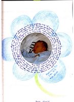 Bild 024