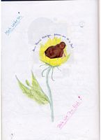 Bild 028